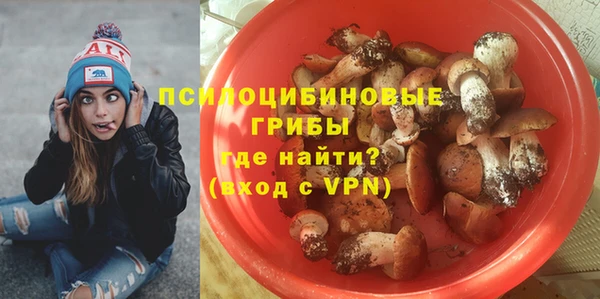 крисы Карпинск