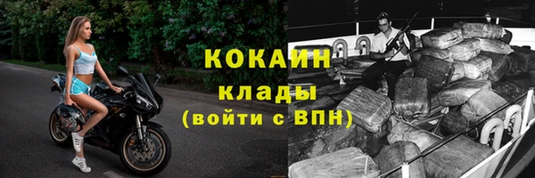 крисы Карпинск