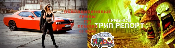 гидропоника Карталы