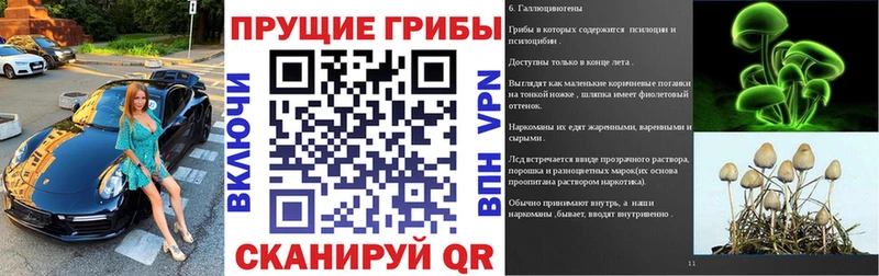Псилоцибиновые грибы Psilocybe  Городище 