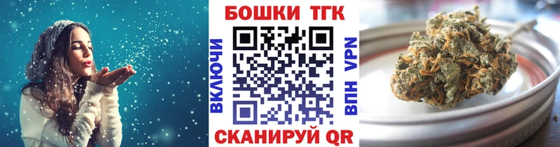 где можно купить   Городище  Бошки Шишки ГИДРОПОН 